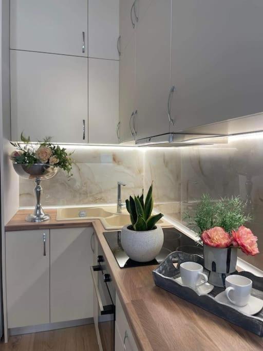 Cozy Studio Στο Κεντρο Lárisza Kültér fotó