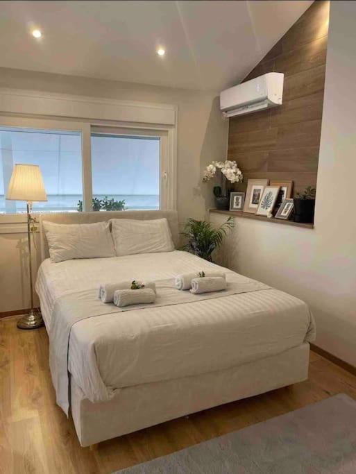 Cozy Studio Στο Κεντρο Lárisza Kültér fotó